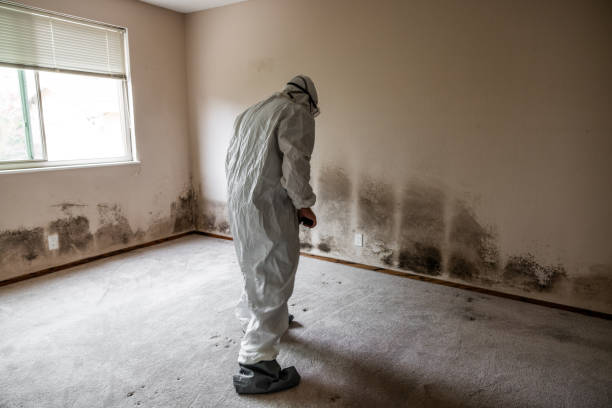 Home Mold Removal in Salisbury, NC